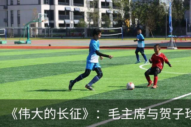 《伟大的长征》：毛主席与贺子珍的儿子毛岸红，为何取名叫毛毛？