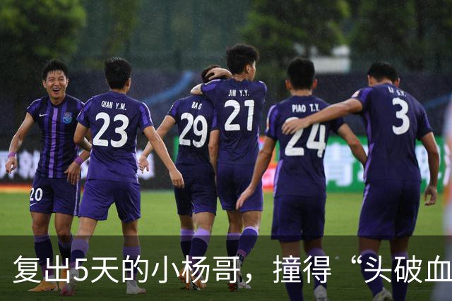 复出5天的小杨哥，撞得“头破血流”