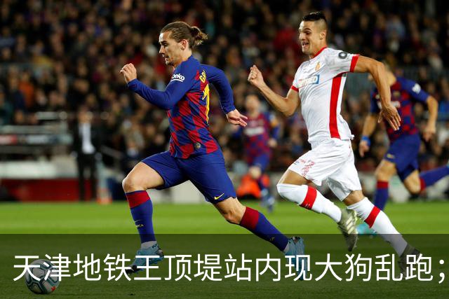 天津地铁王顶堤站内现大狗乱跑；地铁回应：应该是流浪狗；乘客疑惑：它咋过的安检？