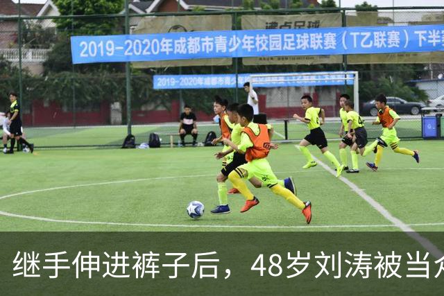 继手伸进裤子后，48岁刘涛被当众摸胸，全程赔笑不敢怒，多人遭殃
